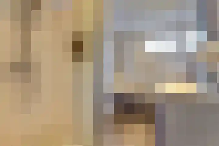 Kerkevelden 25 Eersel thumbnail 27