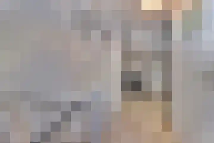 Kerkevelden 25 Eersel thumbnail 29