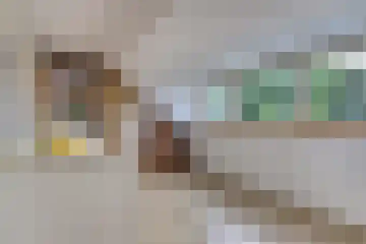 Kerkevelden 25 Eersel thumbnail 31