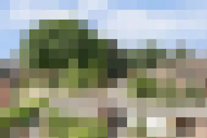 Kerkevelden 25 Eersel thumbnail 32