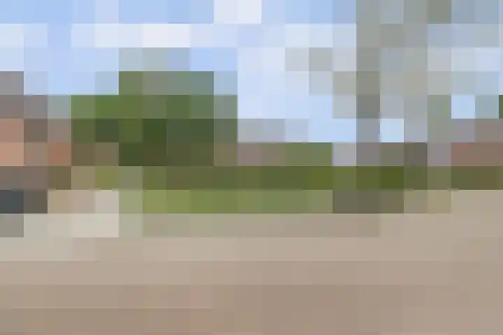 Kerkevelden 25 Eersel thumbnail 41