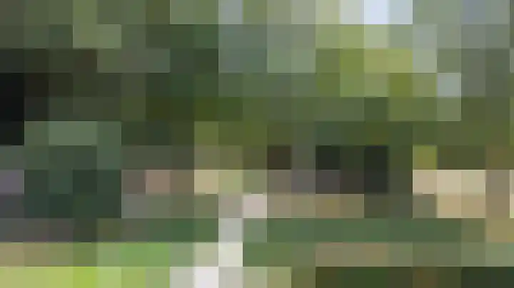 Kerkevelden 25 Eersel thumbnail 47