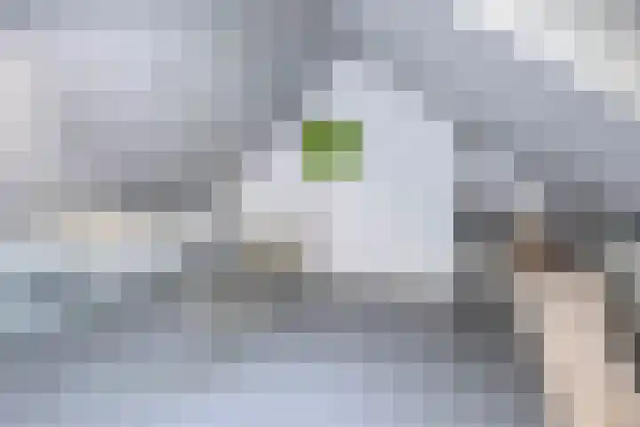 Kerkevelden 39 Eersel thumbnail 25