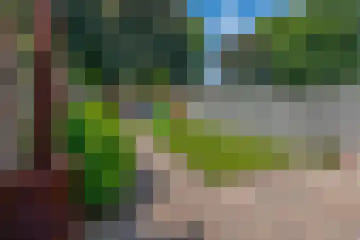 Kerkevelden 39 Eersel thumbnail 27
