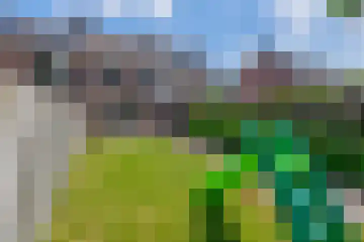 Kerkevelden 39 Eersel thumbnail 30