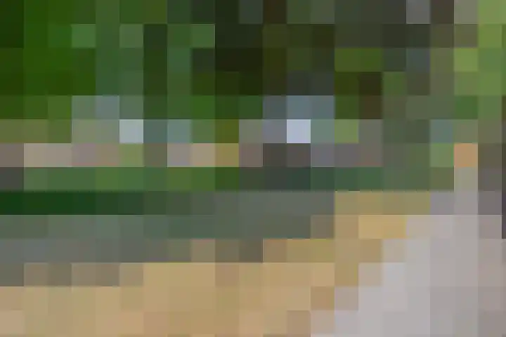 Kerkevelden 39 Eersel thumbnail 35