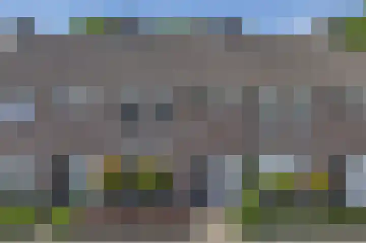Kerkevelden 39 Eersel thumbnail 42