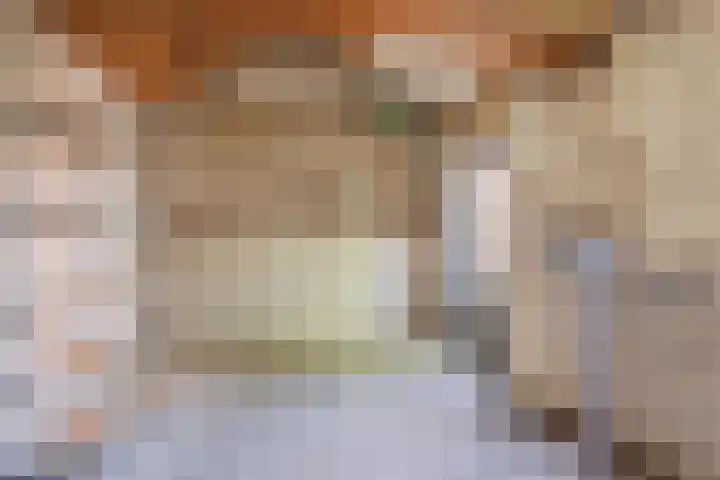 Kerkevelden 57 Eersel thumbnail 31