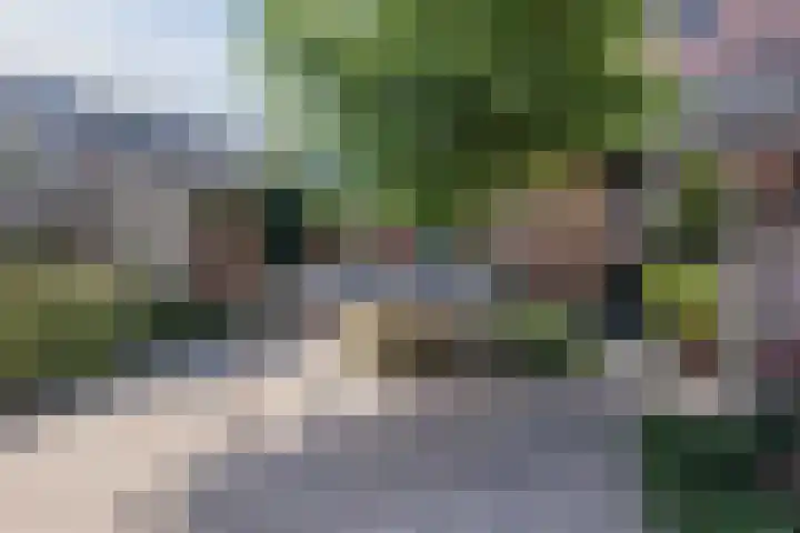 Kerkevelden 57 Eersel thumbnail 35