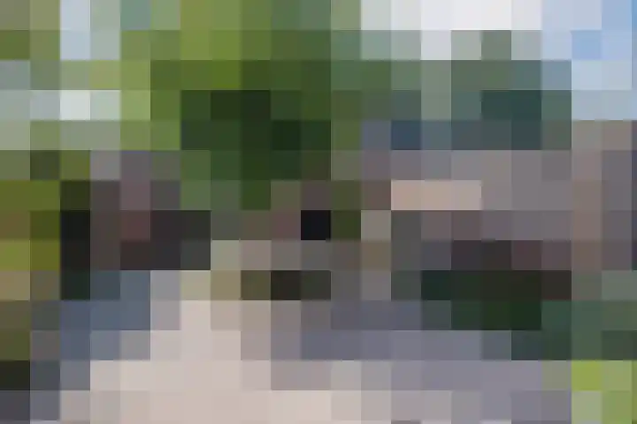 Kerkevelden 57 Eersel thumbnail 39