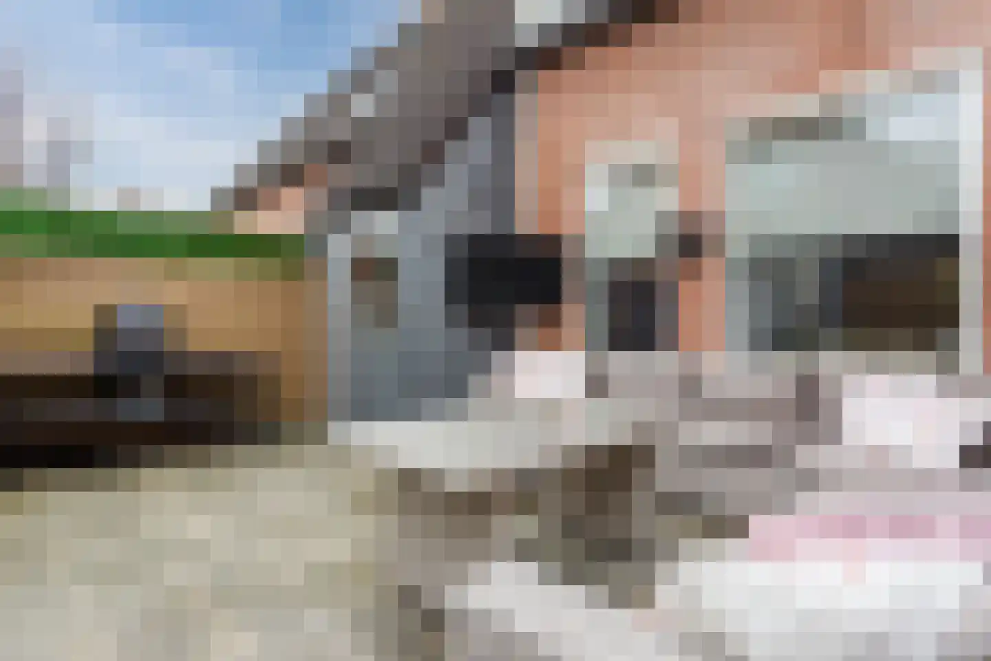 Kerkevelden 64 Eersel thumbnail 44