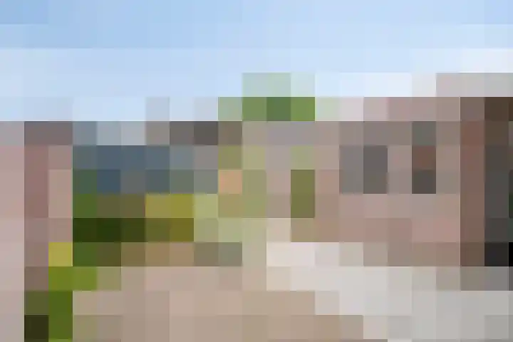 Kerkevelden 9 Eersel thumbnail 6