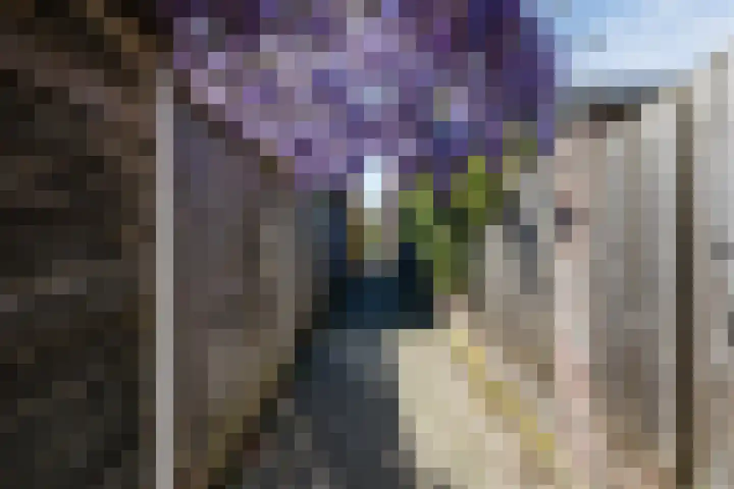 Kerkevelden 90 Eersel thumbnail 45