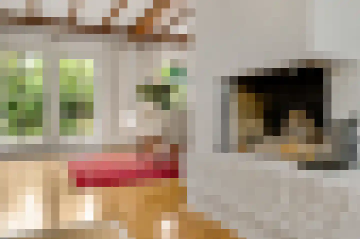 Kerkeveldlaan 13 Roermond thumbnail 22