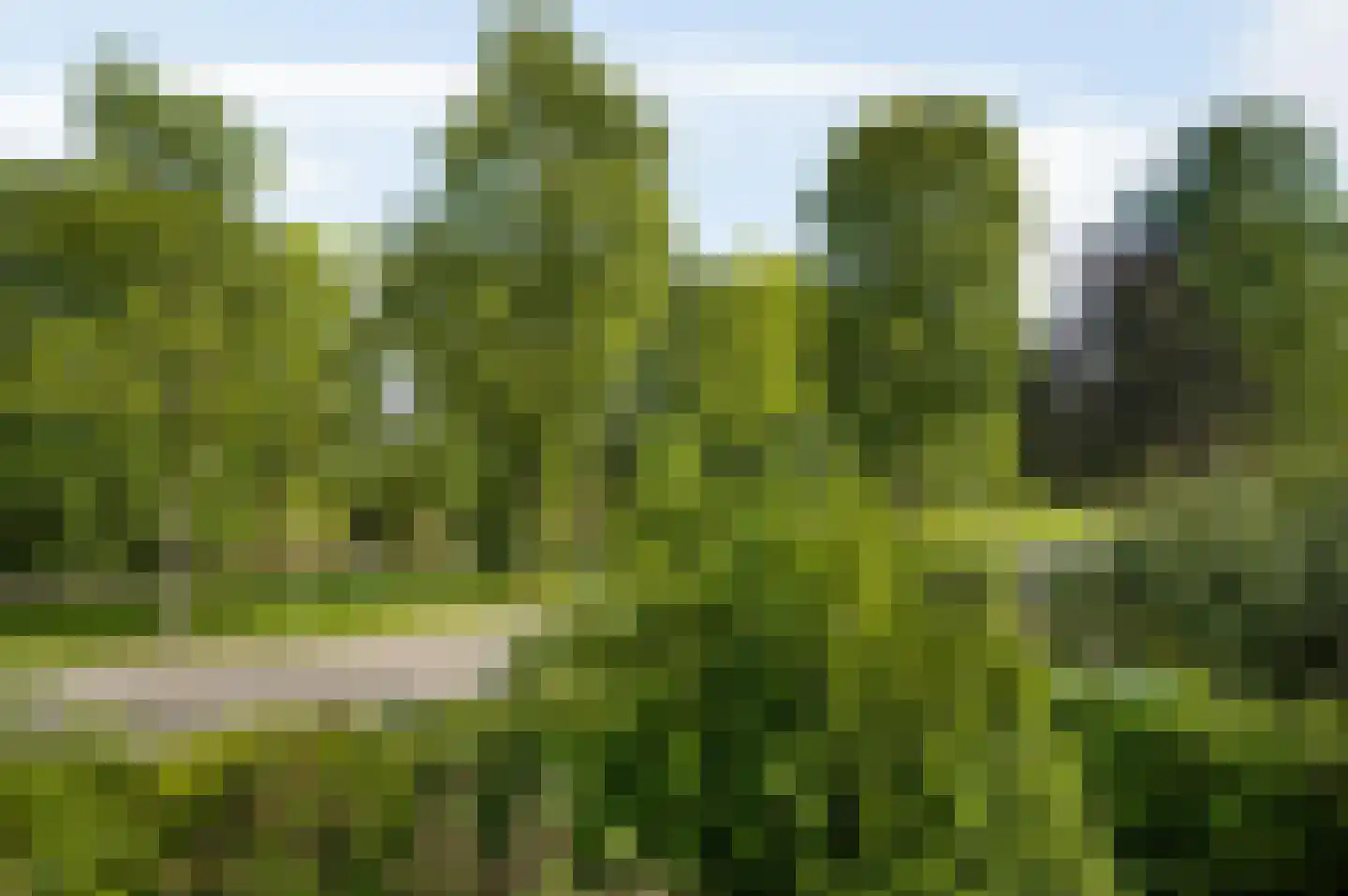 Kerkeveldlaan 13 Roermond thumbnail 53