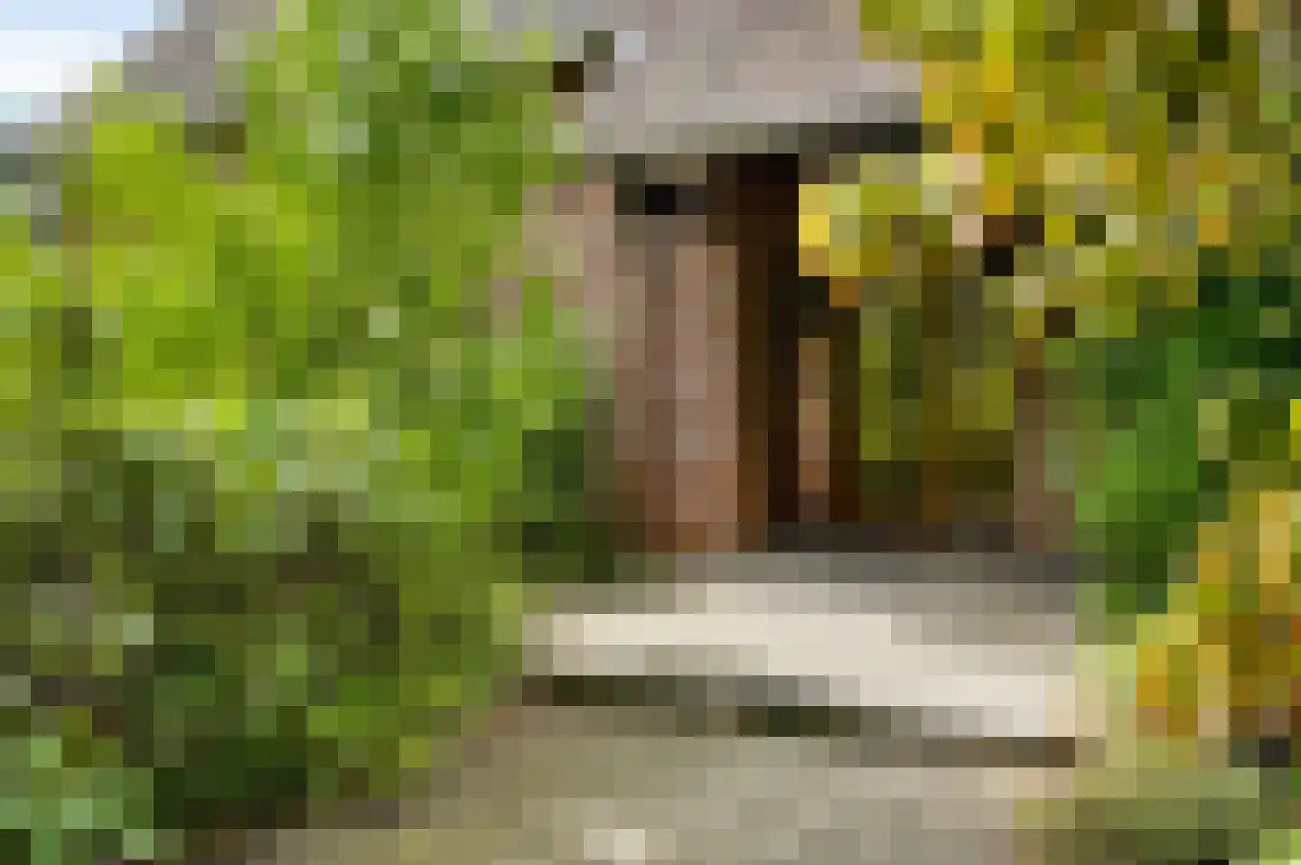 Kerkeveldlaan 13 Roermond thumbnail 7