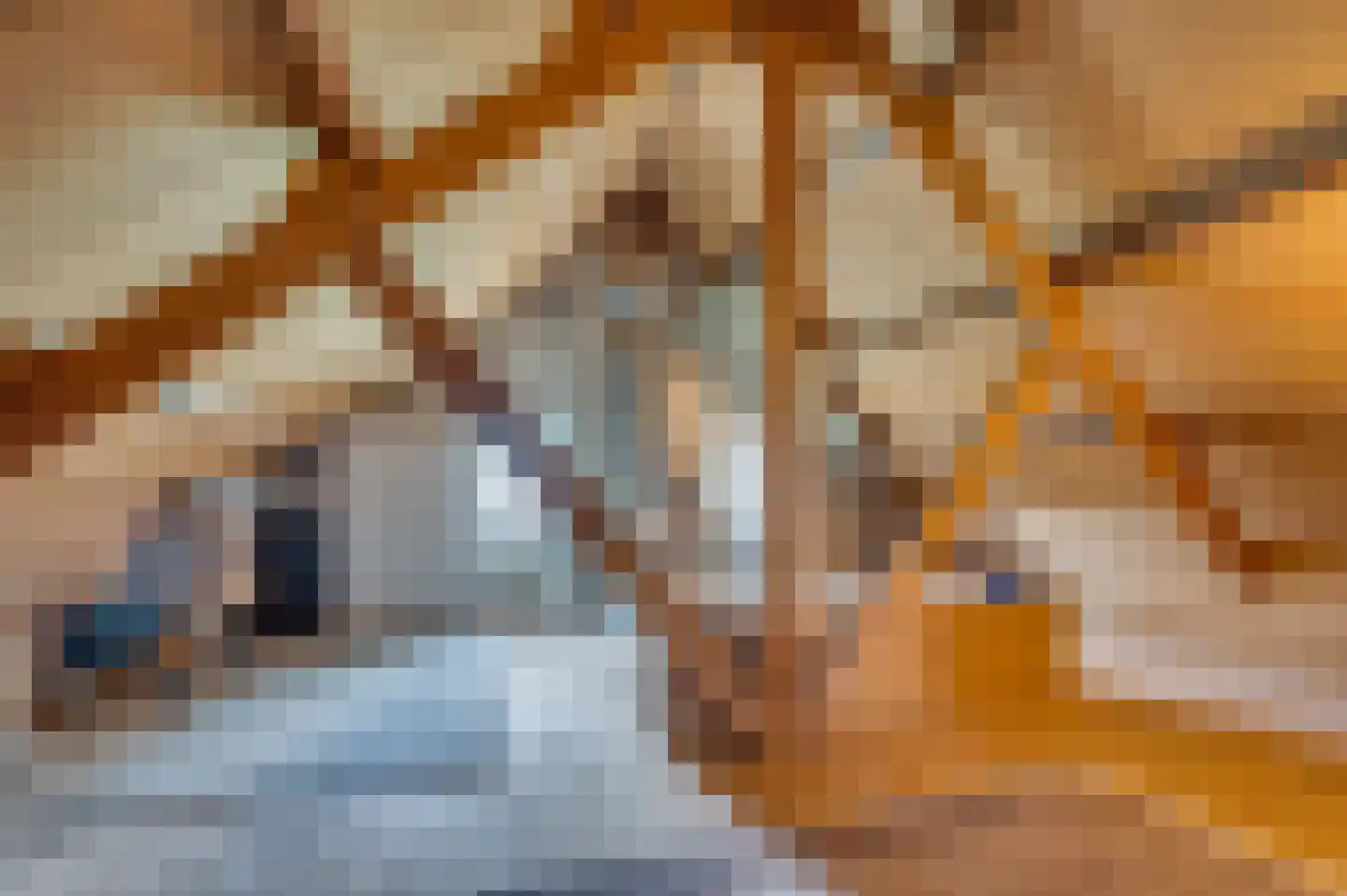 Kerkeveldlaan 15 Roermond thumbnail 38