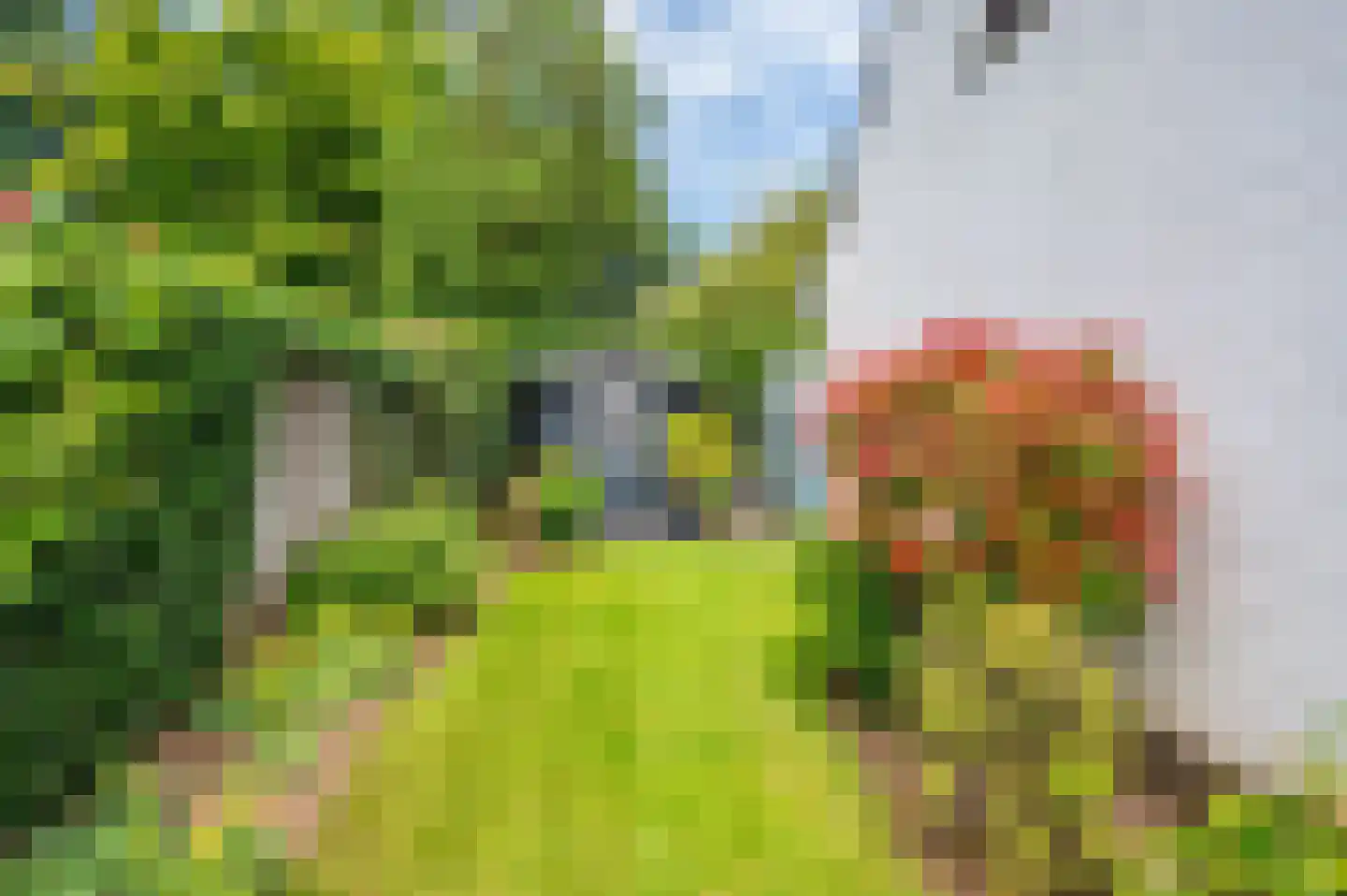 Kerkeveldlaan 15 Roermond thumbnail 48