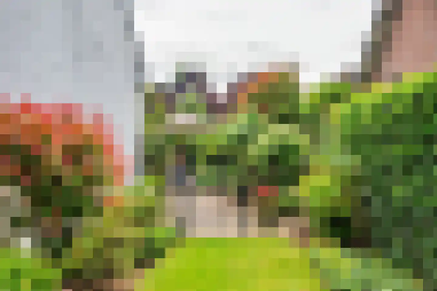 Kerkeveldlaan 15 Roermond thumbnail 50