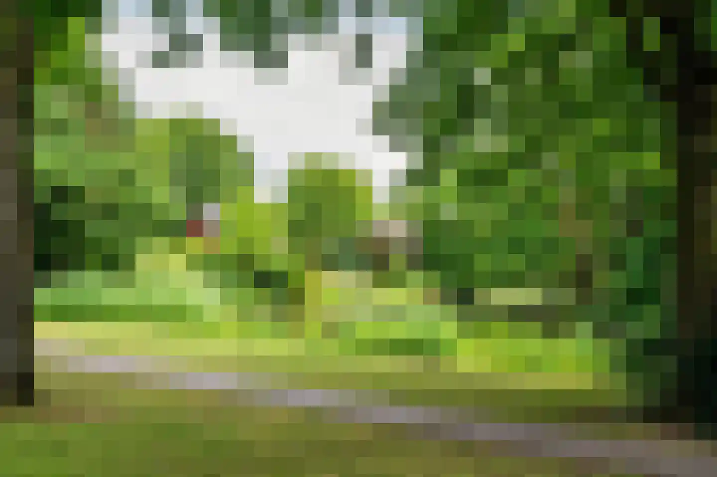 Kerkeveldlaan 15 Roermond thumbnail 64
