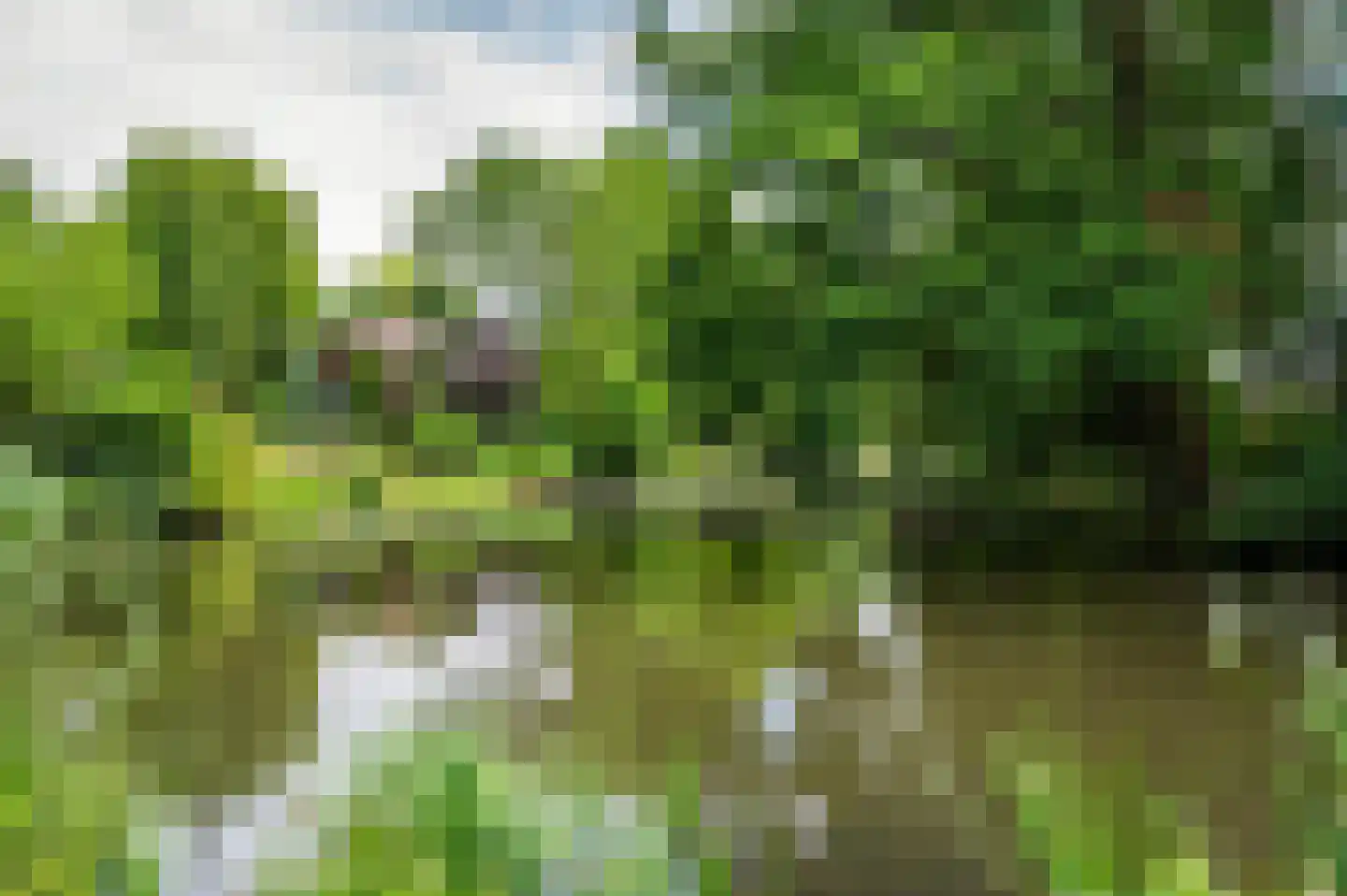 Kerkeveldlaan 15 Roermond thumbnail 65