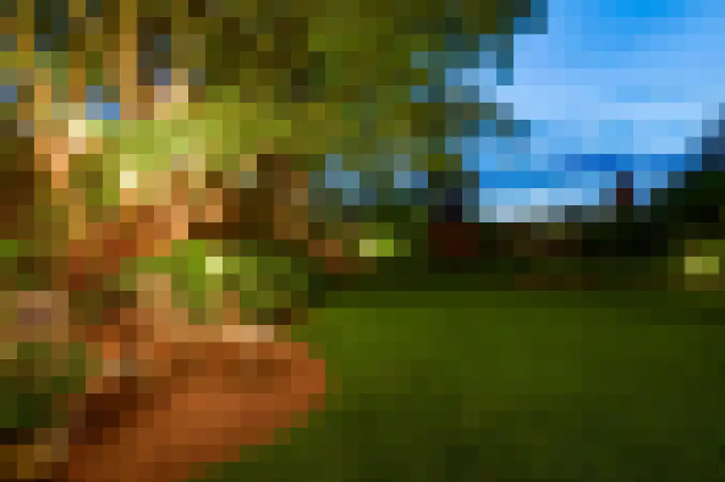 Kerkeveldlaan 17 Roermond thumbnail 39
