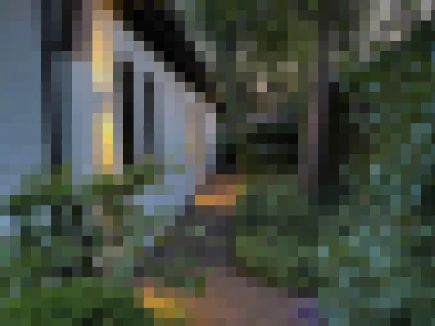 Kerkeveldlaan 17 Roermond thumbnail 47