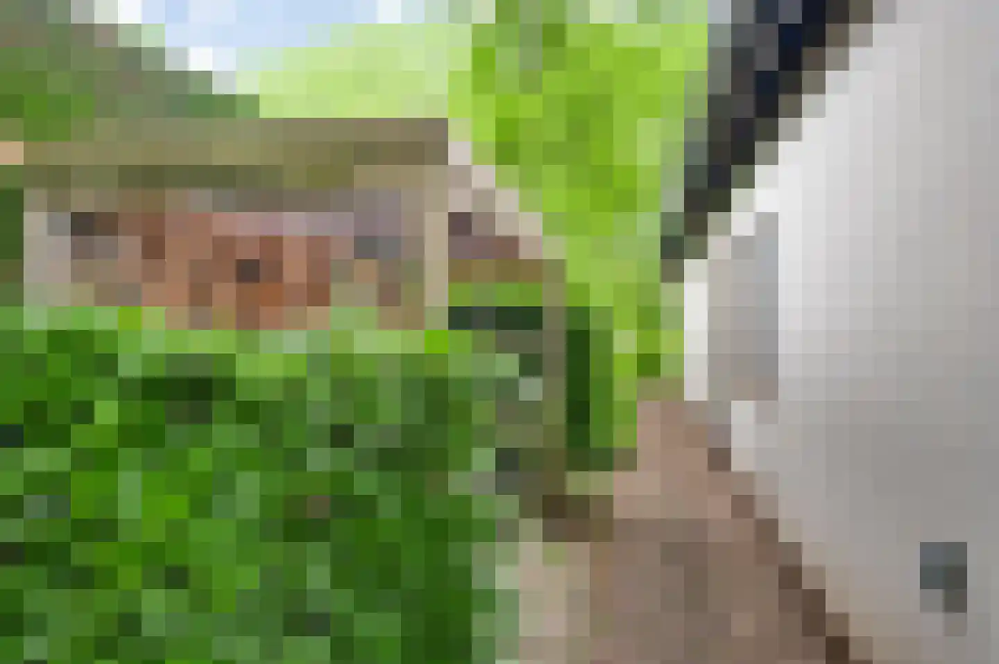Kerkeveldlaan 17 Roermond thumbnail 48