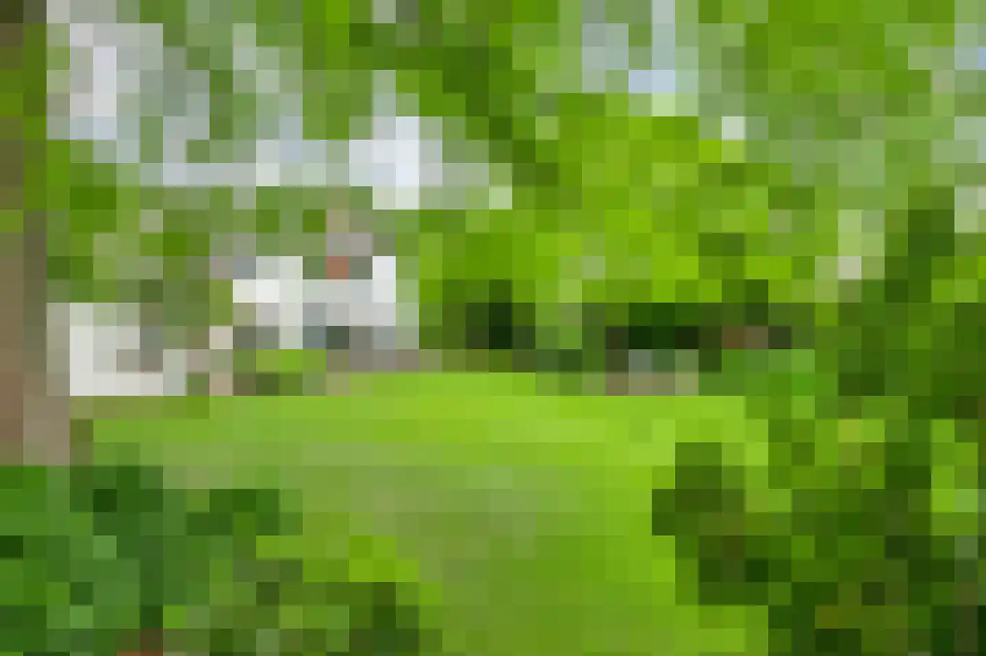 Kerkeveldlaan 17 Roermond thumbnail 49
