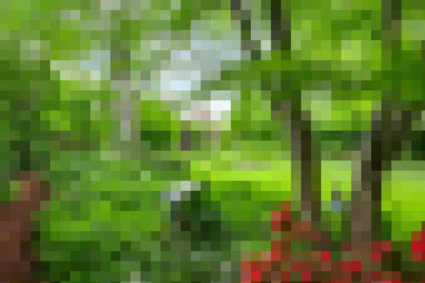 Kerkeveldlaan 17 Roermond thumbnail 58