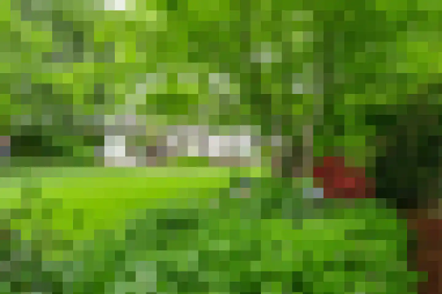 Kerkeveldlaan 17 Roermond thumbnail 60