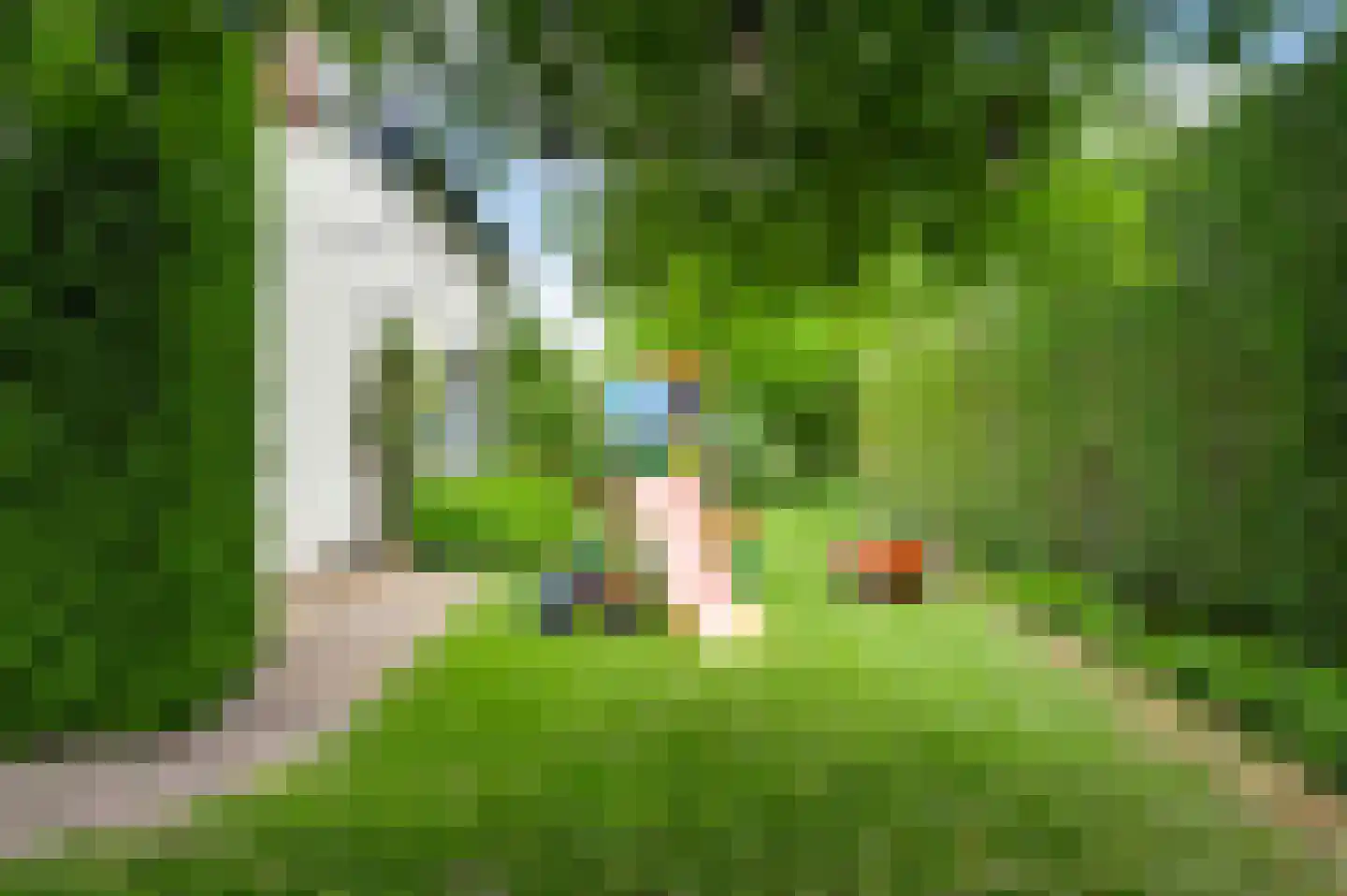 Kerkeveldlaan 17 Roermond thumbnail 61