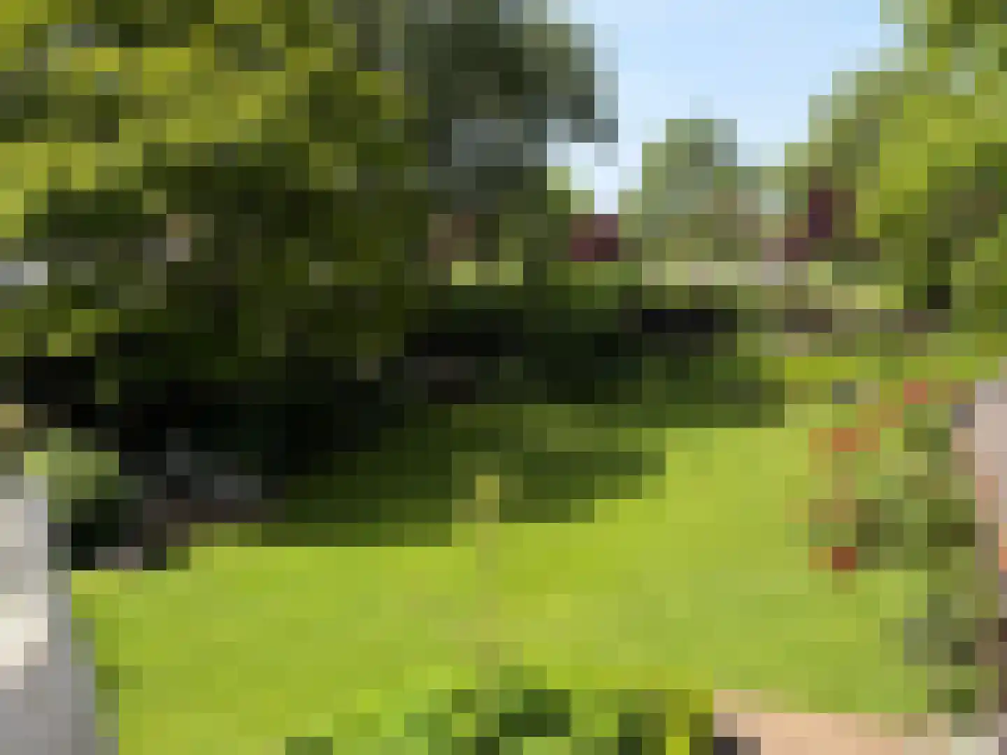 Kerkeveldlaan 17 Roermond thumbnail 77