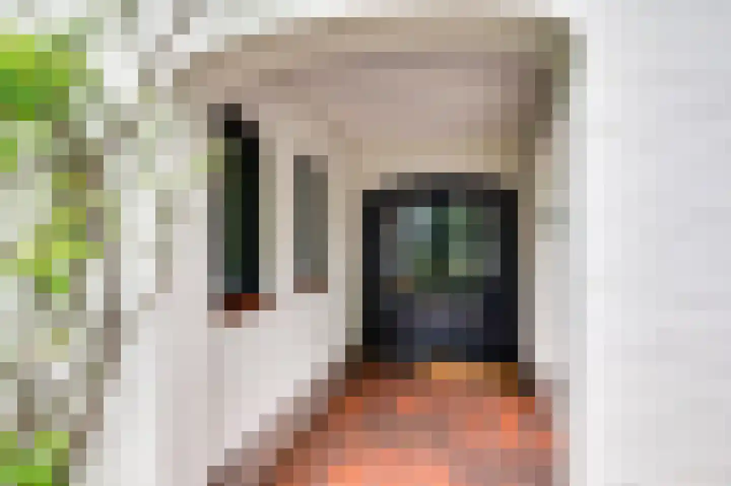 Kerkeveldlaan 17 Roermond thumbnail 9