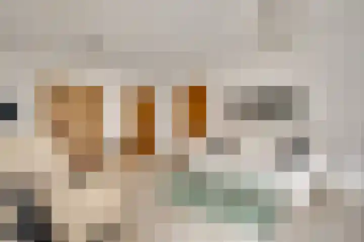 Kerkeveldlaan 5 Roermond thumbnail 11