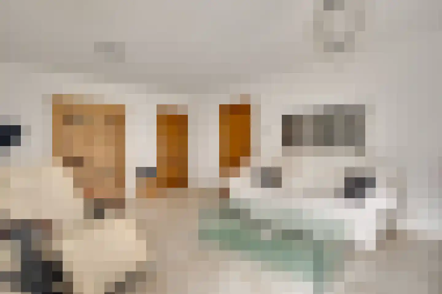Kerkeveldlaan 5 Roermond thumbnail 11