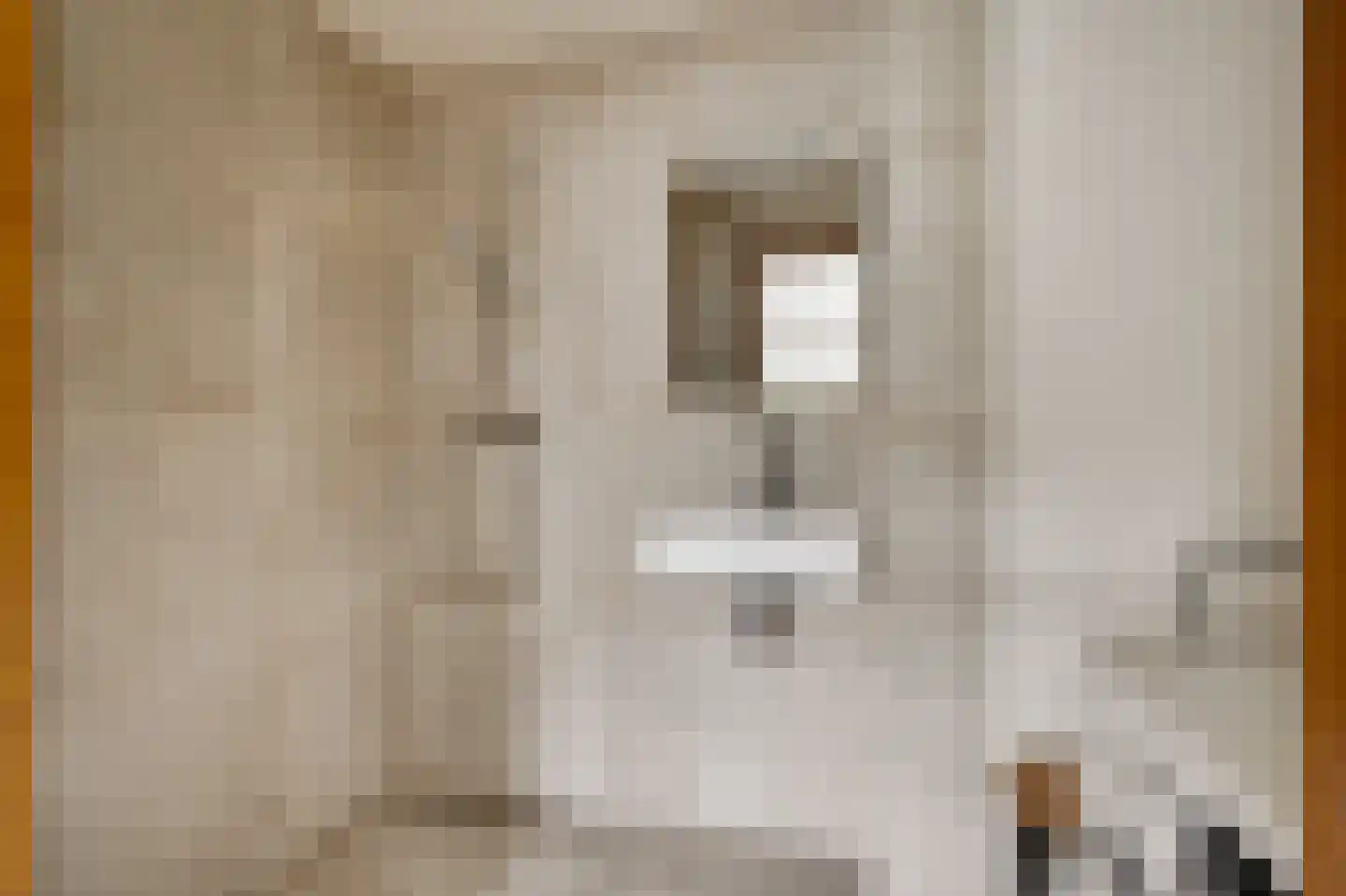 Kerkeveldlaan 5 Roermond thumbnail 16