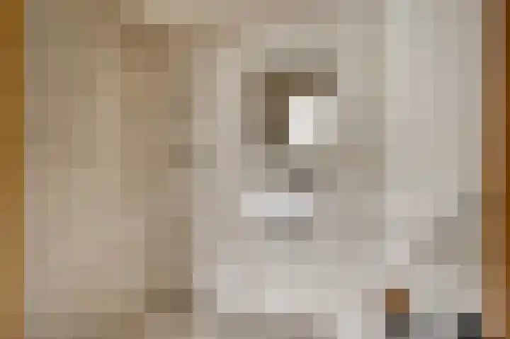 Kerkeveldlaan 5 Roermond thumbnail 16