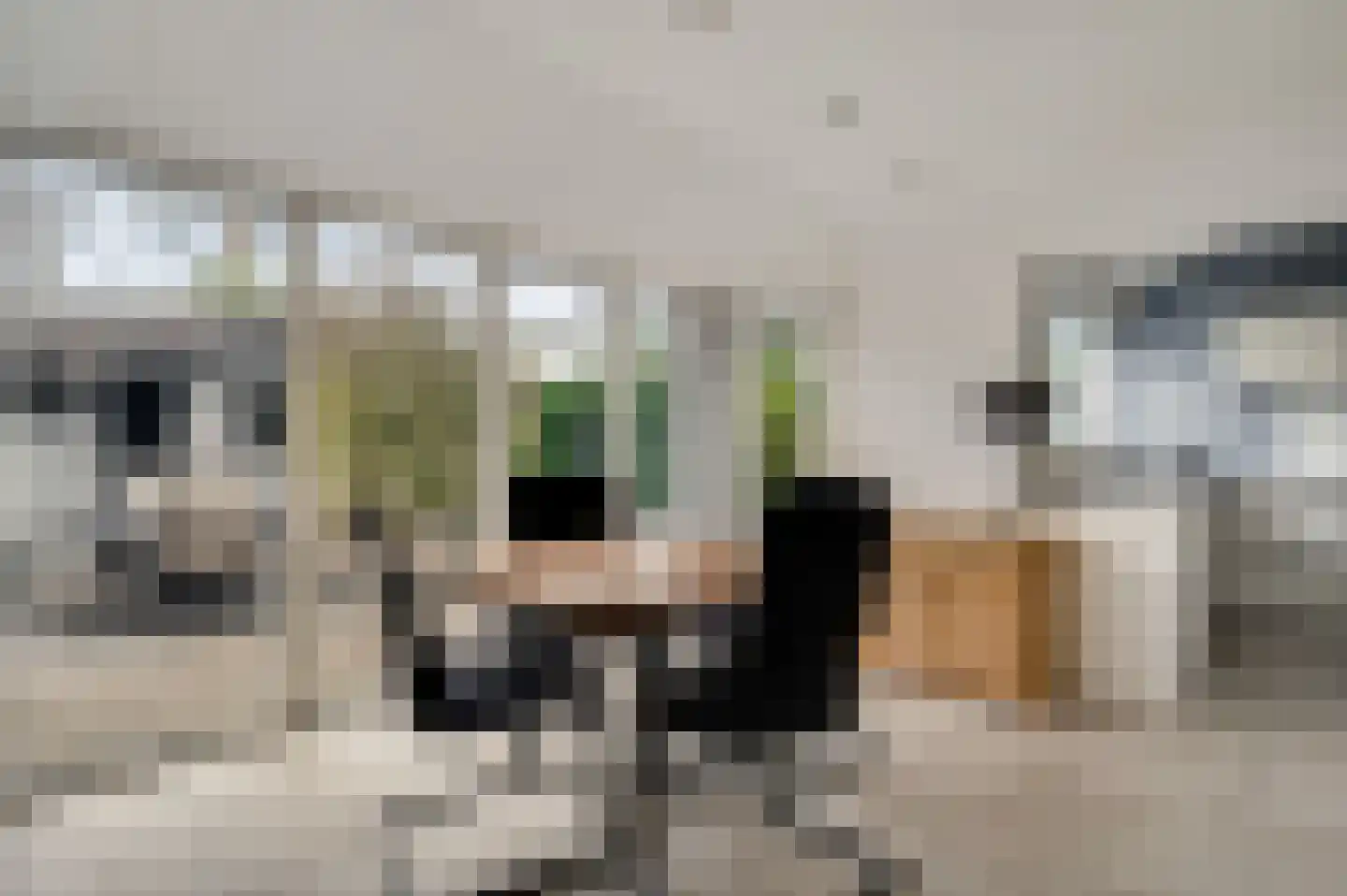Kerkeveldlaan 5 Roermond thumbnail 17