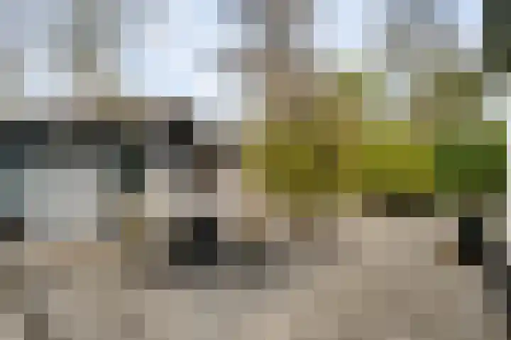Kerkeveldlaan 5 Roermond thumbnail 34