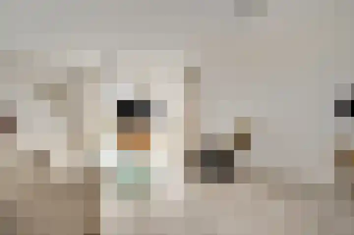 Kerkeveldlaan 5 Roermond thumbnail 9