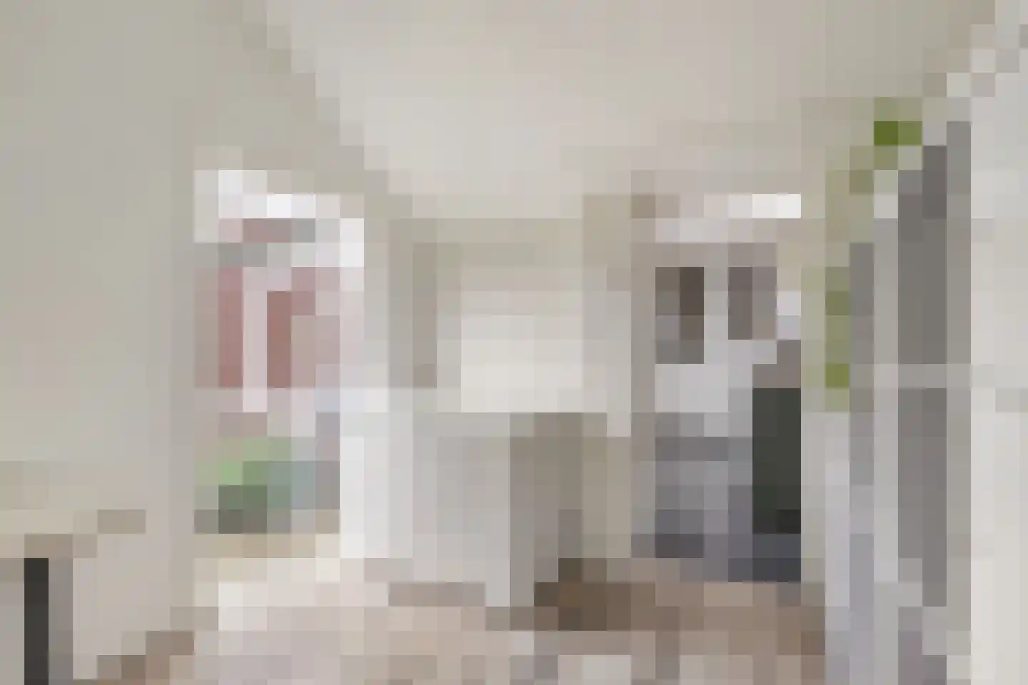 Kerkeveldstraat 10 Didam thumbnail 11