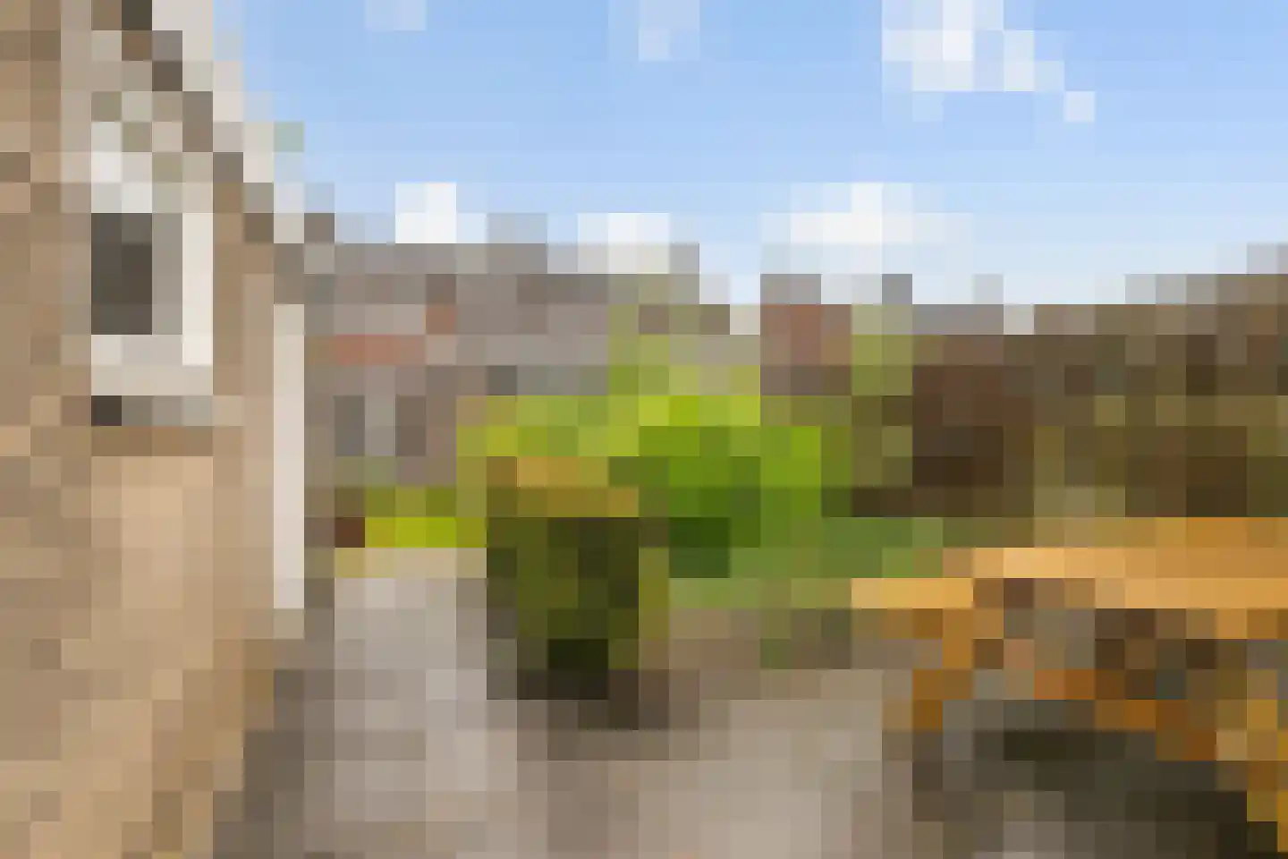 Kerkeveldstraat 10 Didam thumbnail 16