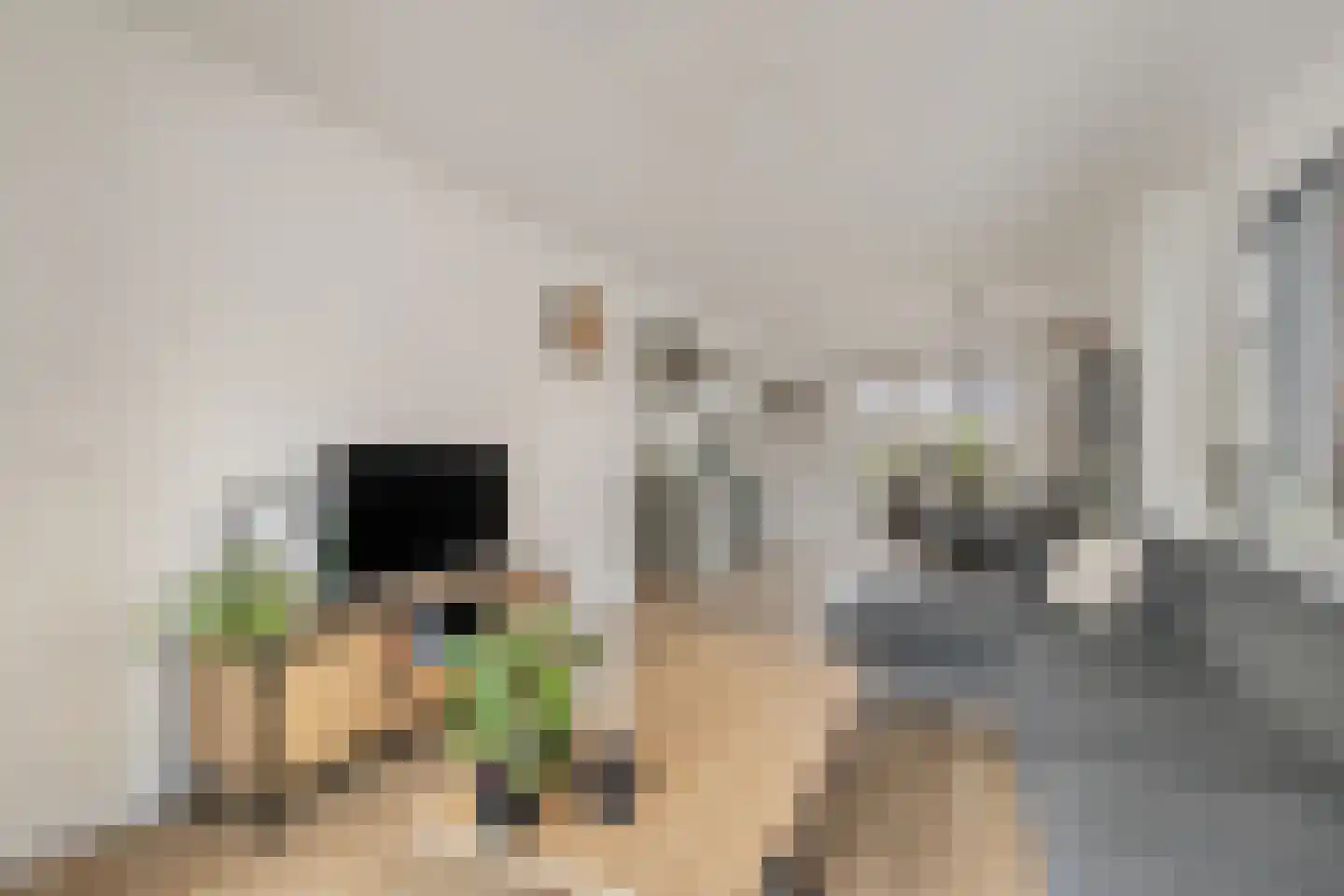 Kerkeveldstraat 10 Didam thumbnail 5