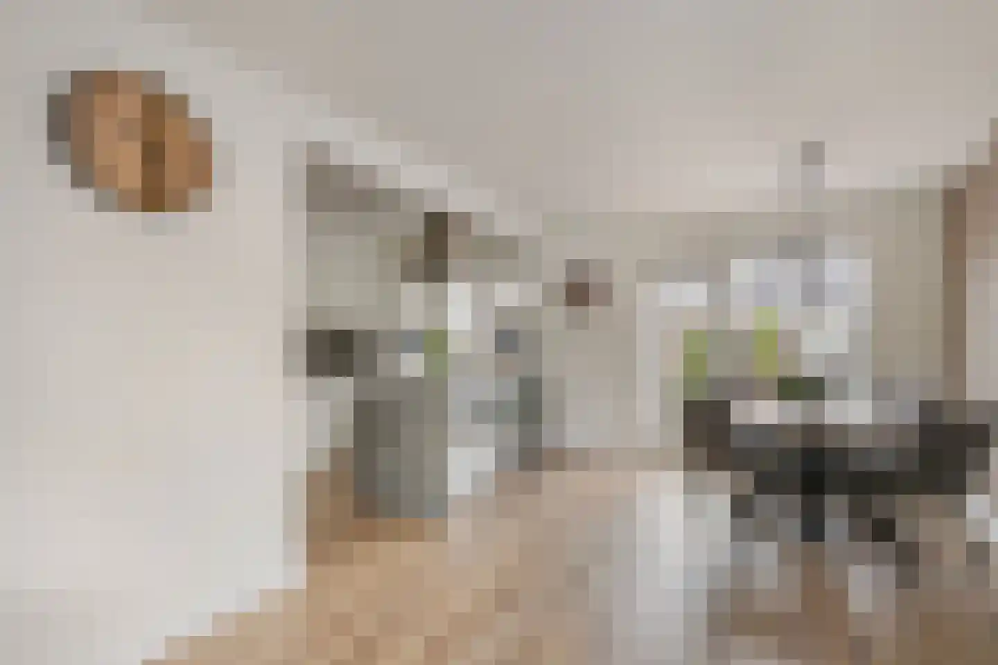 Kerkeveldstraat 10 Didam thumbnail 6