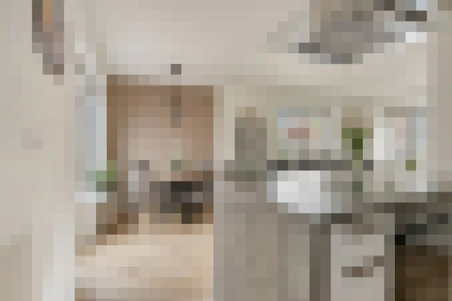 Kerkeveldstraat 10 Didam thumbnail 7