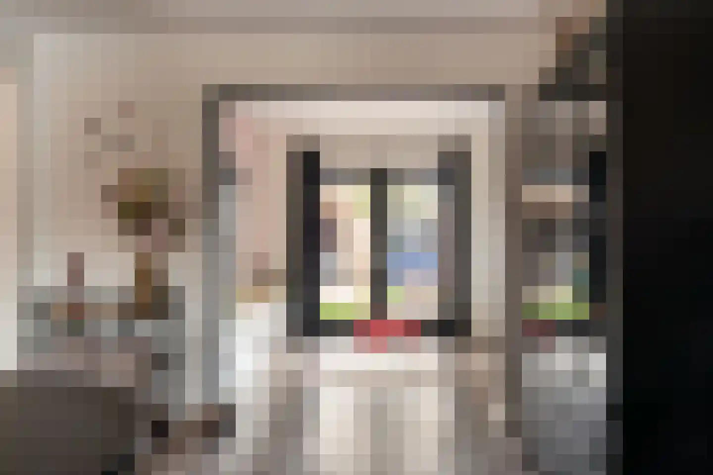 Kerkeveldstraat 22 Didam thumbnail 18