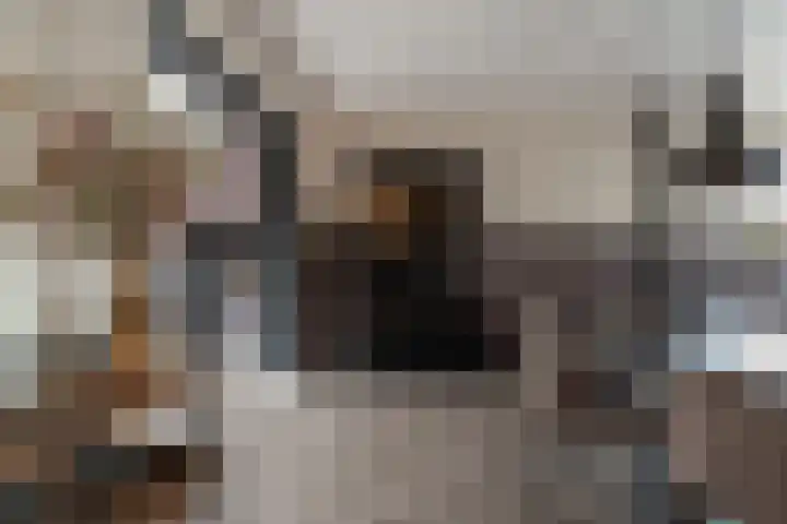 Kerkeveldstraat 22 Didam thumbnail 26