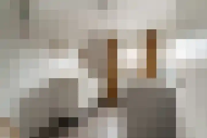 Kerkeveldstraat 22 Didam thumbnail 28