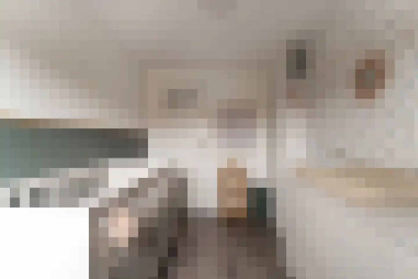 Kerkeveldstraat 22 Didam thumbnail 29